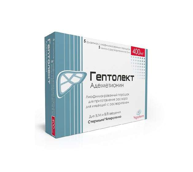 Гептолект лиоф пор.д/приг р-ра амп в комп с раств-L лизина 400мг 5мл №5